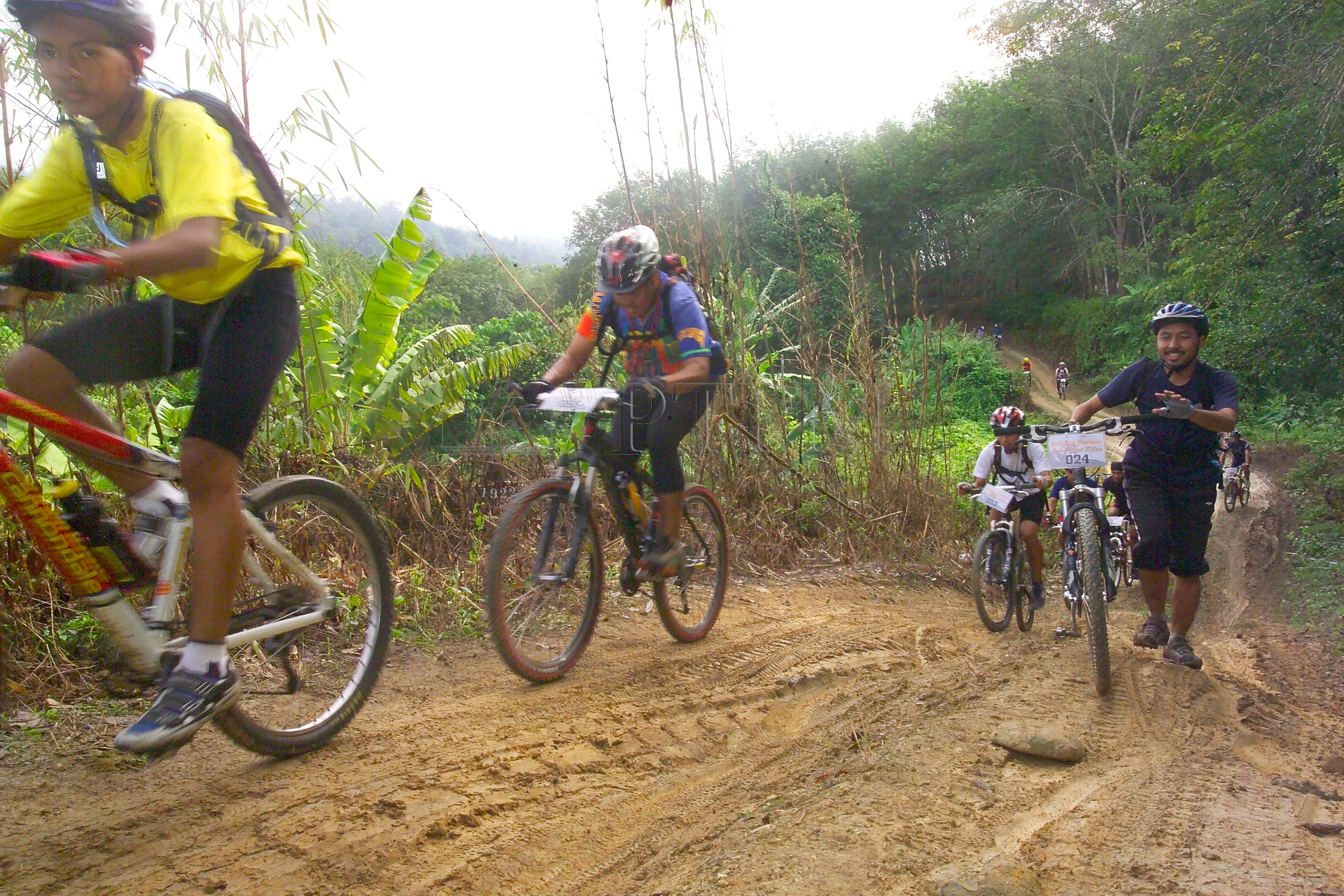 PTPM 06 31 kilau D9X44225